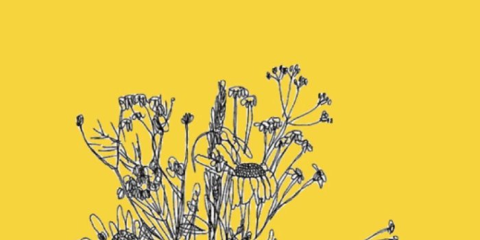 1068x1896 25 Yellow Aesthetic Wallpaper