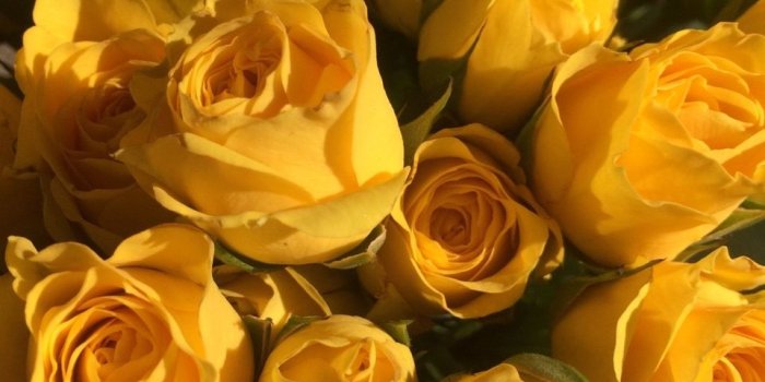 960x1280 aesthetic, wallpaper, alternative and tumblr - image #6172022 on