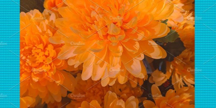 910x1617 Fashion aesthetic wallpaper phone. | High-Quality Beauty & Fashion