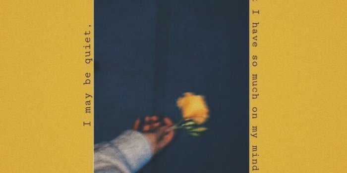 736x1106 wallpaper, yellow, flower and aesthetic - image #6581406 on Favim.com