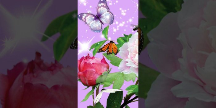 1280x720 Butterfly on flower wallpaper | Yellow Flower Aesthetic Wallpaper