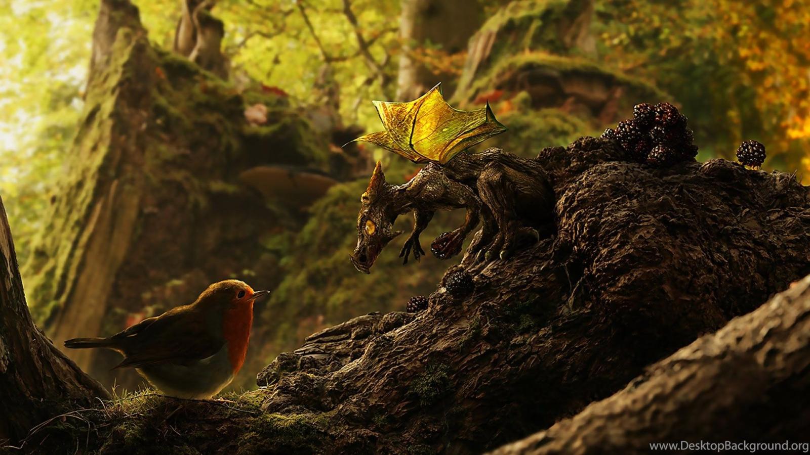 1920x1080 Crazy Animals Wallpapers HD Wallpapers Desktop Background