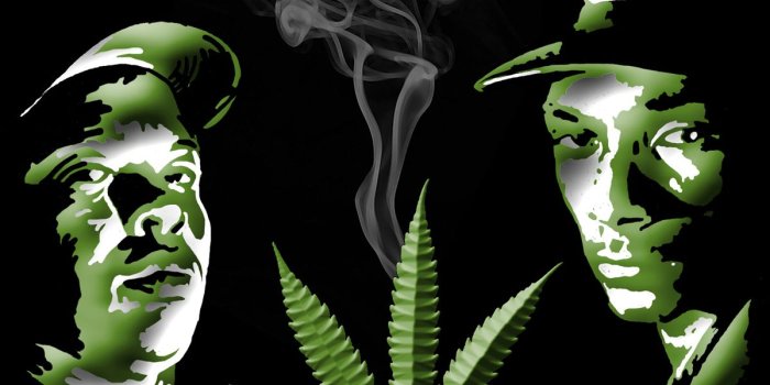 1200x1500 25+] Snoop Dogg Wallpapers on WallpaperSafari