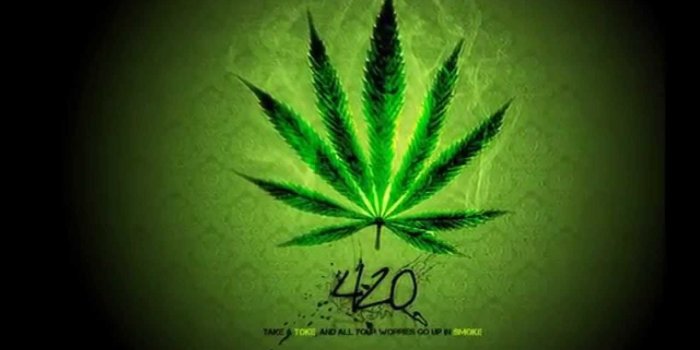 1280x720 Free Weed Wallpapers Group (34+)
