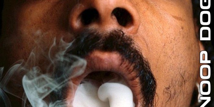 1024x768 Snoop Dogg Cast in Family Sitcom; What Should It Be Called? - SSG