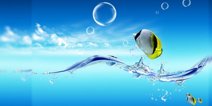 1920x1080 50+] Live Desktop Wallpapers Free Download on WallpaperSafari