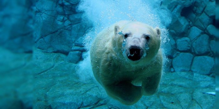 1920x1080 67+ Live Desktop Wallpapers on WallpaperPlay