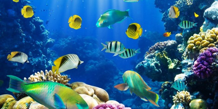 1600x900 Best 50+ Live Desktop Backgrounds on HipWallpaper | Beautiful