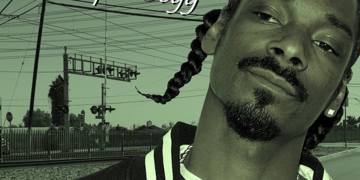 1280x1024 Download hd 1280x1024 Snoop Dogg computer wallpaper ID:165644 for free