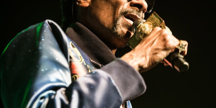 1600x1200 Today's livestreams (Snoop Dogg, Willie Nelson, Cannabis Corpse