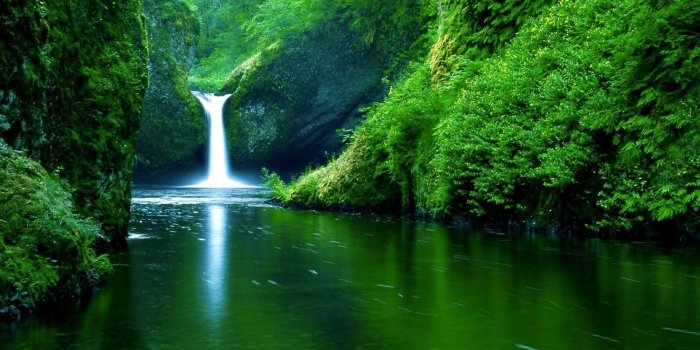 1920x1080 67+ Live Desktop Wallpapers on WallpaperPlay