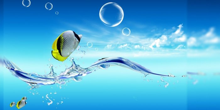 1920x1080 Living Wallpapers for Pc ·① WallpaperTag