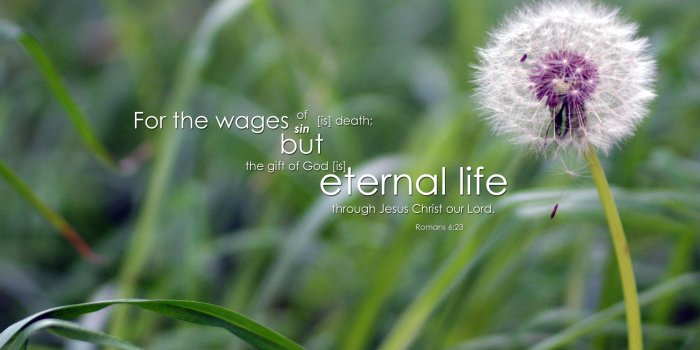 2500x1563 Romans 6:23 - Free Nature & Bible Desktop Background / Wallpaper