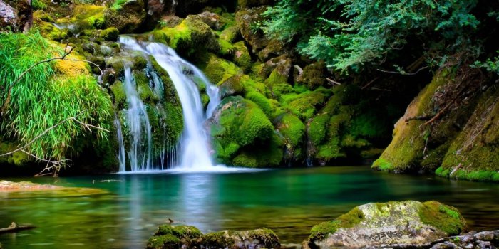 1920x1080 Aquarium Live Wallpaper for PC (55+ images)