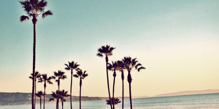 1280x857 California Beaches Tumblr Wallpaper - California Dreaming Palm