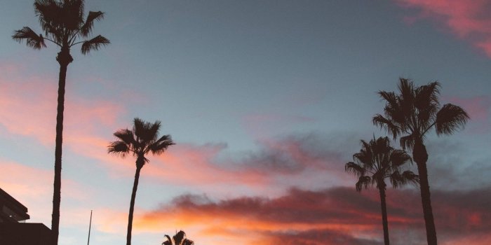 1414x2828 California Sunset Wallpapers - Top Free California Sunset