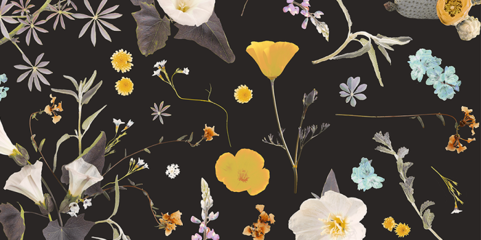 1000x1431 California Native Removable Fabric Wallpaper - Peel and Stick