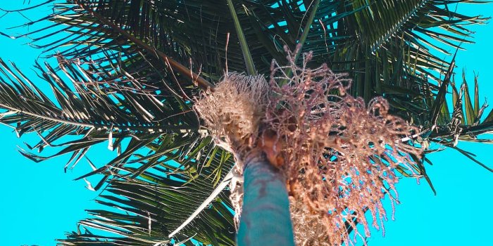 910x1365 HD wallpaper: destination, vacation, weather, warm weather, cali