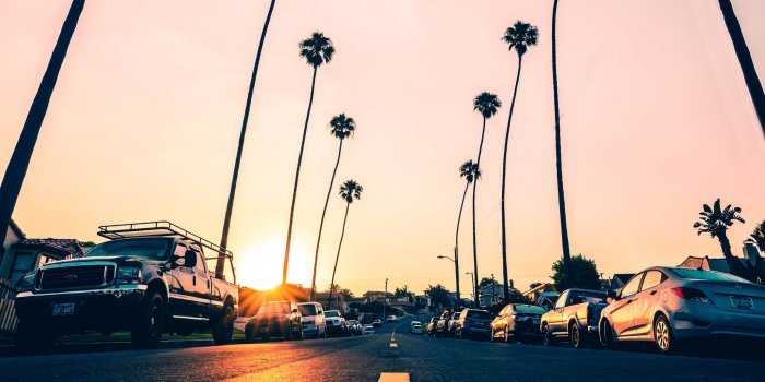 2048x1152 Download wallpaper 2048x1152 road, palm trees, asphalt, cars