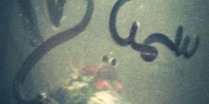 792x1280 Sumaiya Written In Arabic (#2315966) - HD Wallpaper & Backgrounds