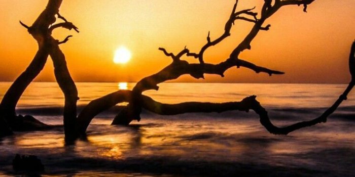 744x1392 I love you sumaiya | Sunrise wallpaper