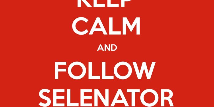 1500x1500 KEEP CALM AND FOLLOW SELENATOR SUMAIYA | KEEP-CALM.net