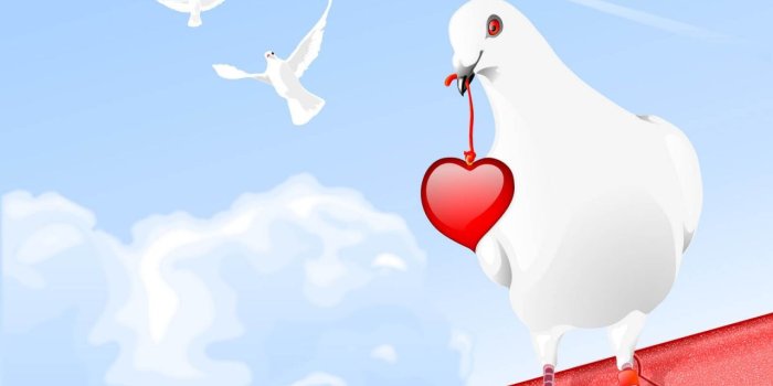 1280x804 sumaiya name wallpaper