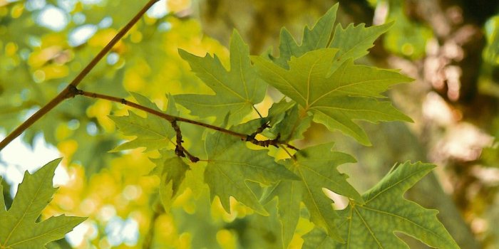 1000x1301 Sumaiya Khan (@sumaiyakhan) | Unsplash Photo Community