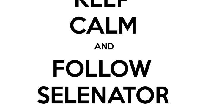 1500x1500 KEEP CALM AND FOLLOW SELENATOR SUMAIYA | KEEP-CALM.net