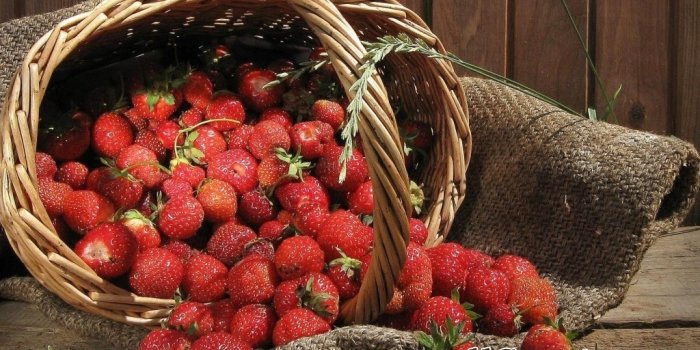 1024x768 Happy Birthday sumaiya - 1366 / 768 Wallpaper