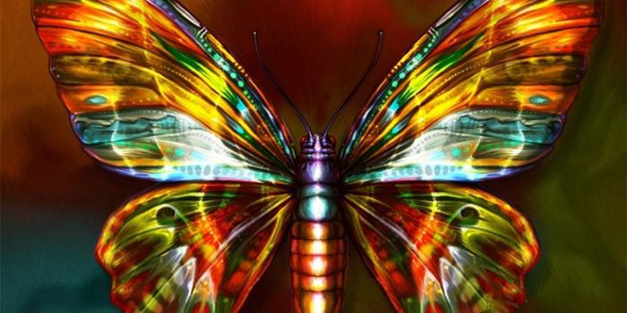 1360x768 images of butterflies | neon butterfly wallpaper download the free