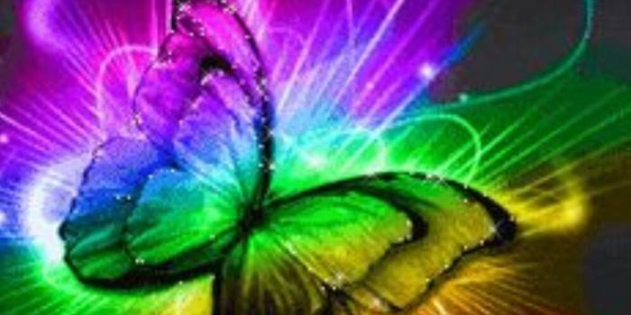 996x1328 Neon butterfly | Butterfly wallpaper, Butterfly photos, Butterfly