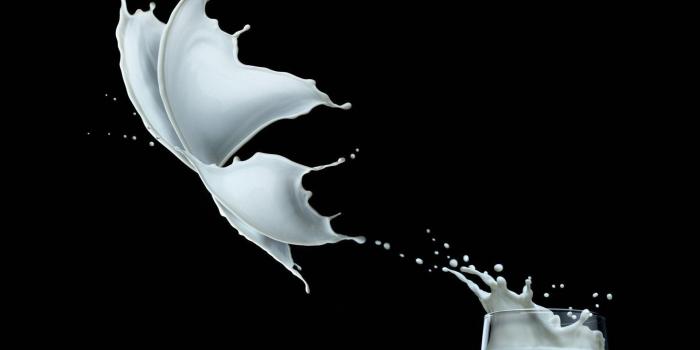 1920x1200 Butterfly 17402 HD wallpaper