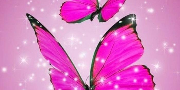1080x1920 Pink Butterfly Wallpaper (69+ images)