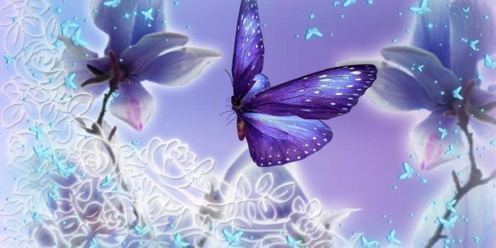 1920x1200 Blue Butterfly Wallpaper Background (63+ images)