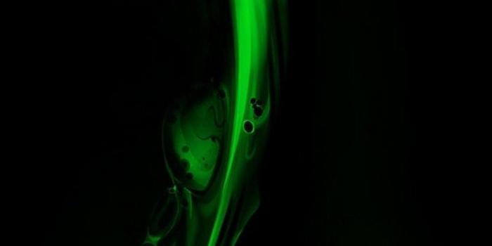1080x1920 Green Liquid Wallpaper iPhone | Iphone wallpaper, Computer