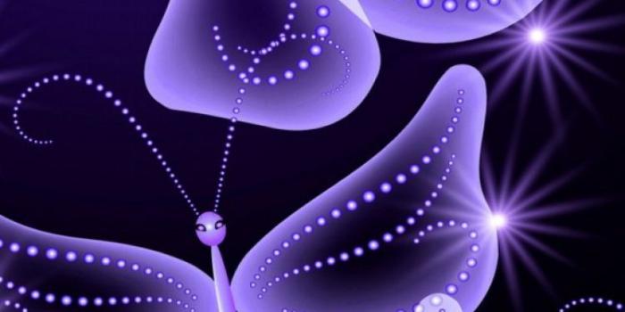 750x1334 Purple Butterfly Wallpaper posted by Sarah Johnson