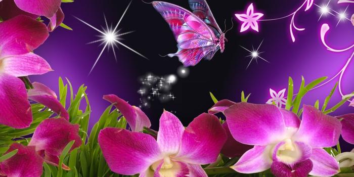 2880x1800 Pink Butterfly Wallpaper Desktop (84+ images)