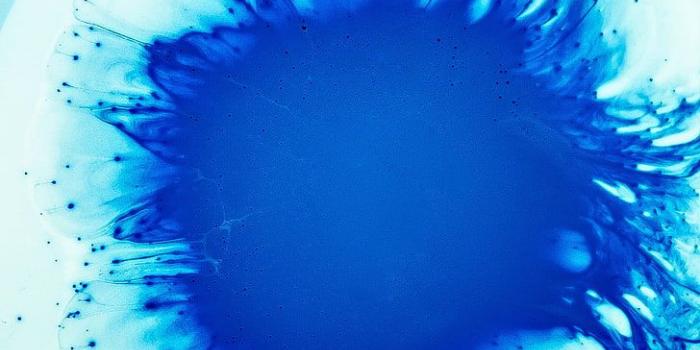 728x1094 Blue and white digital wallpaper, stains, liquid, blue, HD