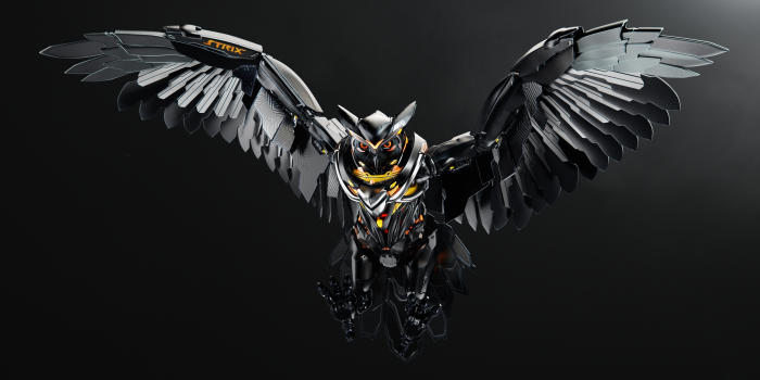 2560x1440 Dark Owl Wallpapers (с изображениями) | Обои-совы, Сова, Киберпанк