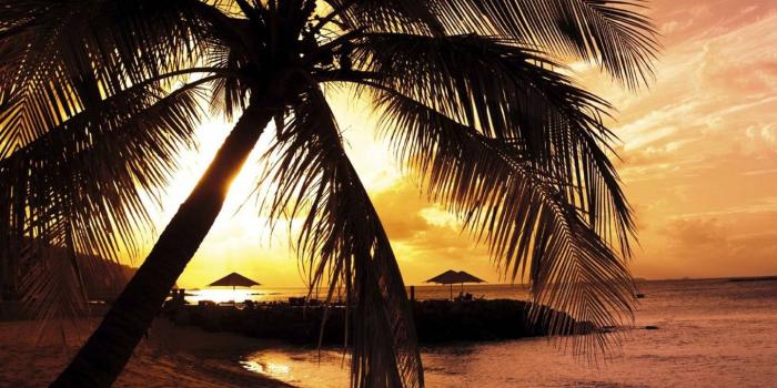 1440x1280 Beach Colors wallpaper by _Avispon217 - 05 - Free on ZEDGE™