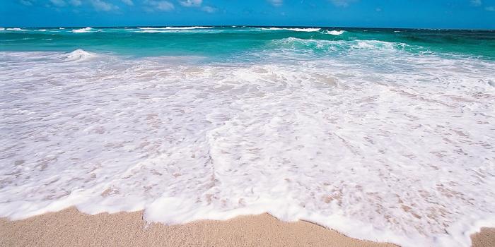 1920x1200 Different colors of tropical beach wallpaper - Beach Wallpapers