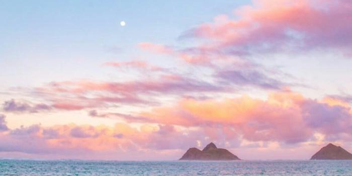 1024x1820 Pastel Beach Wallpapers - Top Free Pastel Beach Backgrounds