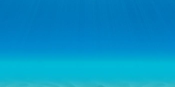 1080x1920 Beautiful Beach iPhone 8 Wallpapers Free Download