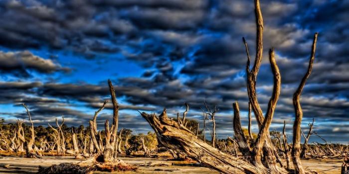 1920x1200 Sunbahting, Beaches, Colors,flowers, Holiday,HD Beach Wallpapers