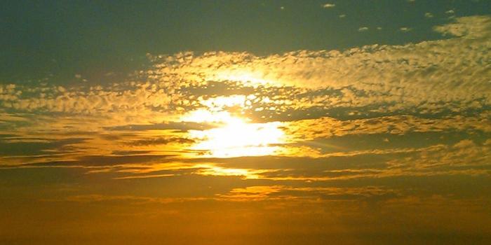 1242x2208 ny61-sunset-sea-beach-color-nature-wallpaper