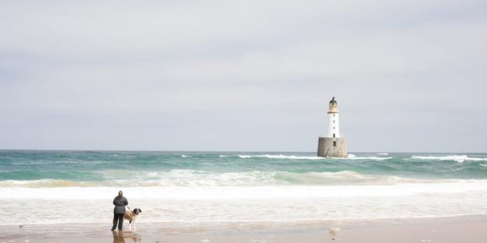 1620x1080 Bright & Fresh 3 Colors Beach Coastal Key West Fish Wallpaper Borders