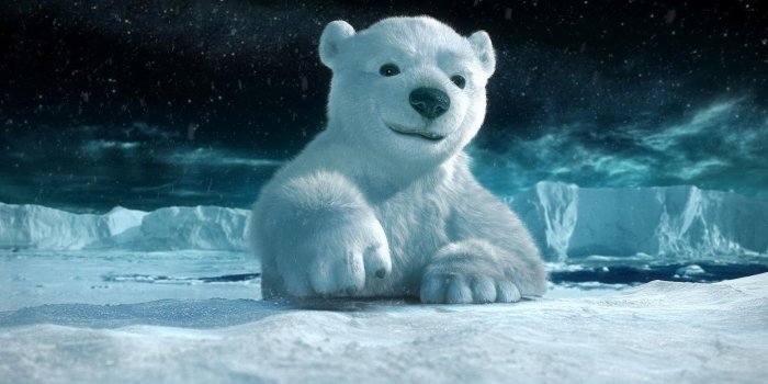1600x900 Funny Ice Bear | Polar bear, Animals