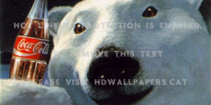 1024x774 polar bear drinking coke cola aw animals