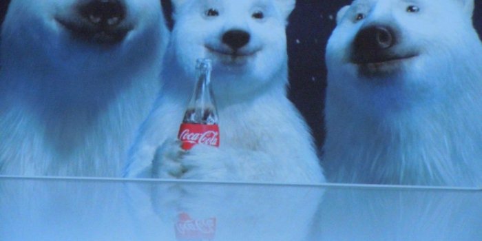 1024x768 Arctic Explorers Kick Off Coke's Polar Bear Campaign At Shedd